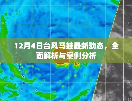 台风马娃最新动态解析及案例分析（12月4日更新）