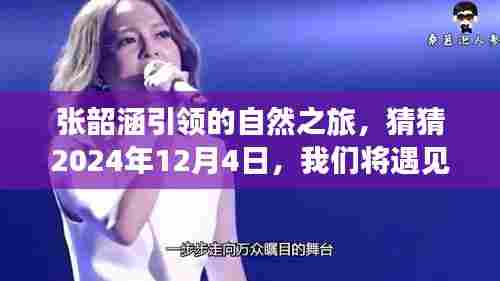 张韶涵引领的自然之旅,探寻美景与心境的奇遇之旅(2024年12月4日)