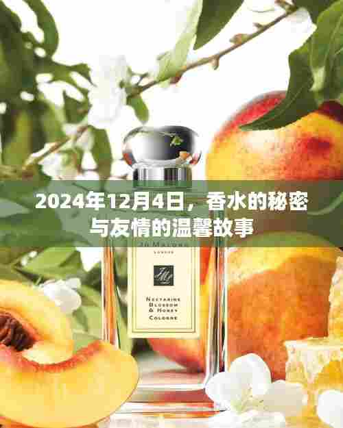 香水之谜与友情之温馨,一个秘密的温馨故事(2024年12月4日)