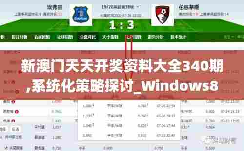 新澳门天天开奖资料大全340期,系统化策略探讨_Windows87.279-6