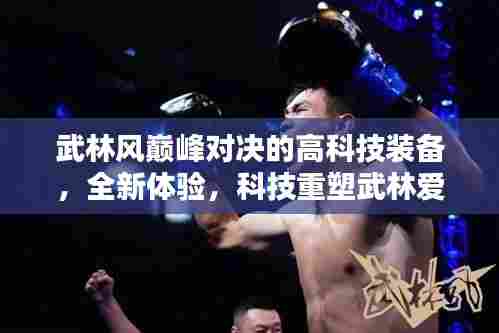 武林风巅峰对决的高科技装备，全新体验，科技引领武林爱好者革新