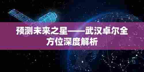 武汉卓尔全方位深度解析,预测未来之星崛起之路