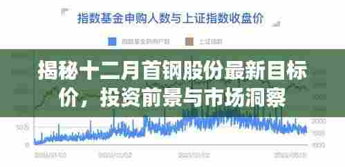 揭秘,十二月首钢股份最新目标价及投资前景深度洞察