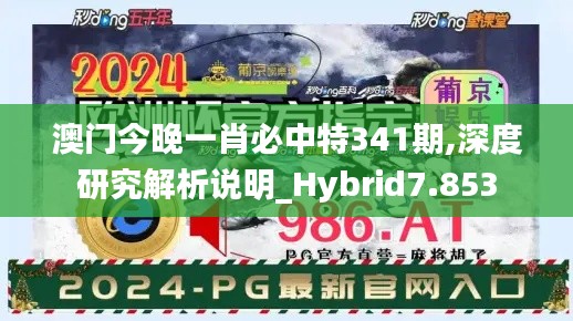澳门今晚一肖必中特341期,深度研究解析说明_Hybrid7.853
