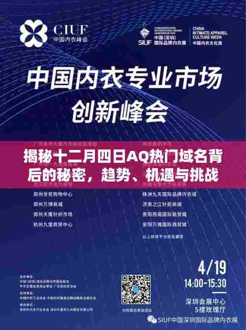 揭秘AQ热门域名背后的秘密，趋势、机遇与挑战的探讨（十二月四日特辑）