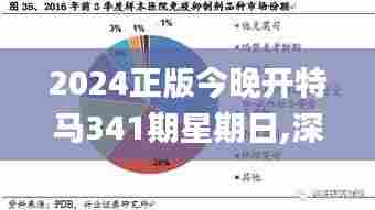 2024正版今晚开特马341期星期日,深度分析解析说明_N版7.434
