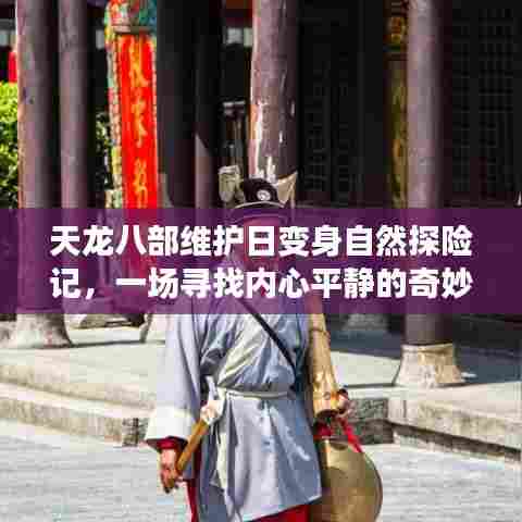 天龙八部维护日探秘自然之旅，寻找内心平静的奇妙旅程