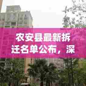 农安县最新拆迁名单揭晓,深度解读背后的故事与细节