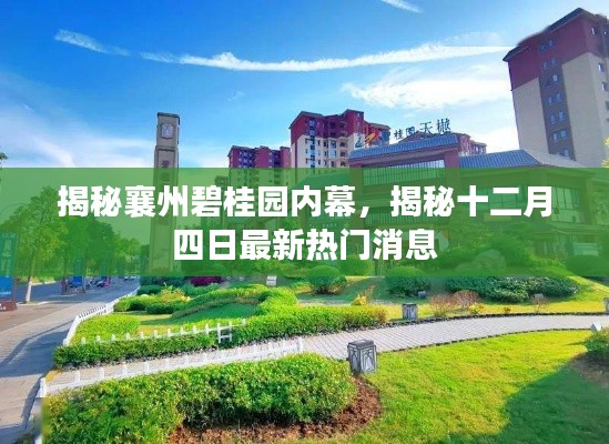 揭秘襄州碧桂园内幕,最新十二月四日热门消息曝光