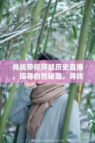 肖战直播之旅,穿越历史探寻自然秘境,寻找心灵宁静之道