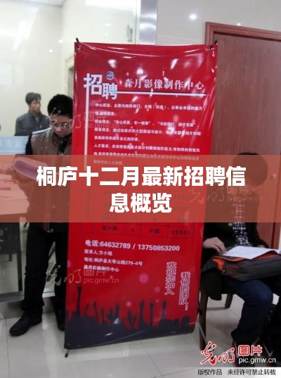 桐庐十二月招聘速递,最新岗位信息概览