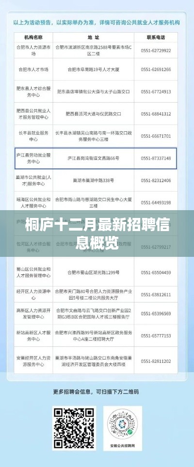 桐庐十二月招聘速递,最新岗位信息概览