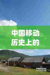 有张没智 第3页