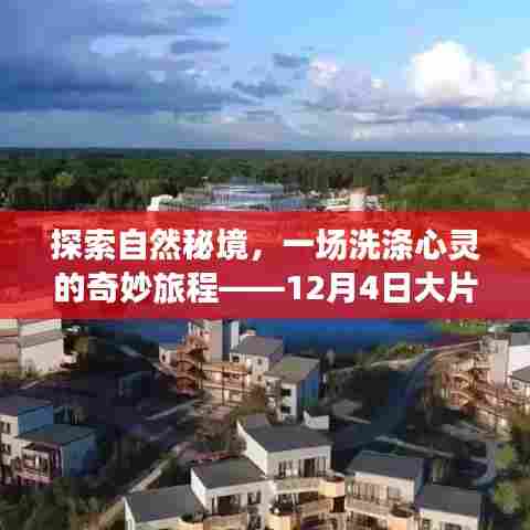 探索自然秘境,心灵洗涤之旅——领略震撼自然的绝美风光大片