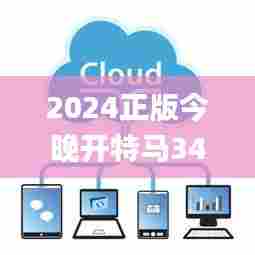 2024正版今晚开特马340期星期日,实地数据评估解析_MP4.719