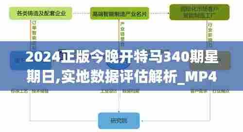2024正版今晚开特马340期星期日,实地数据评估解析_MP4.719
