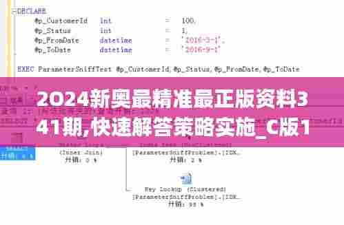 2O24新奥最精准最正版资料341期,快速解答策略实施_C版13.887