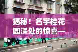 名宇桂花园小巷探秘，隐藏的特色小店惊喜揭秘
