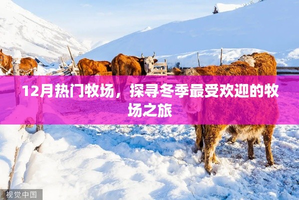 冬季最热门牧场探寻之旅