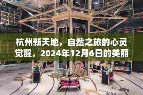 杭州新天地,心灵觉醒的自然之旅,美丽奇遇等你发现(2024年12月6日)