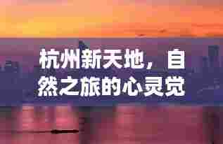杭州新天地,心灵觉醒的自然之旅,美丽奇遇等你发现(2024年12月6日)