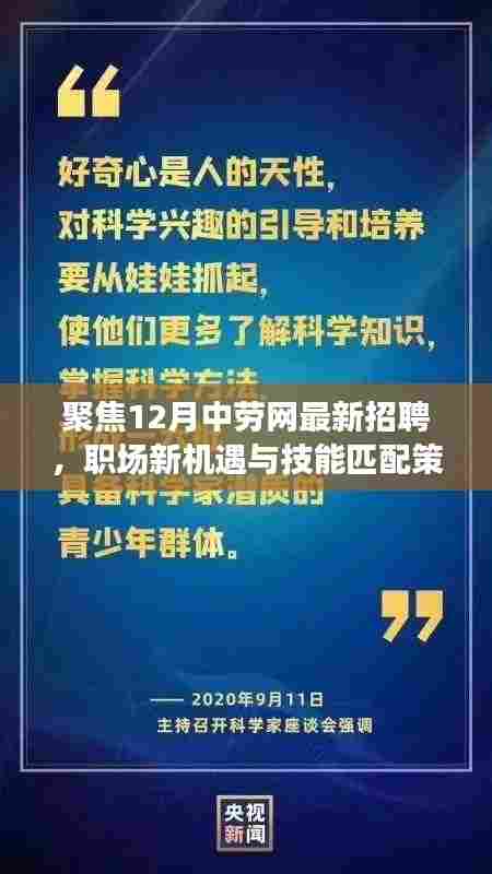 聚焦12月中劳网最新招聘,职场新机遇与技能匹配策略探讨