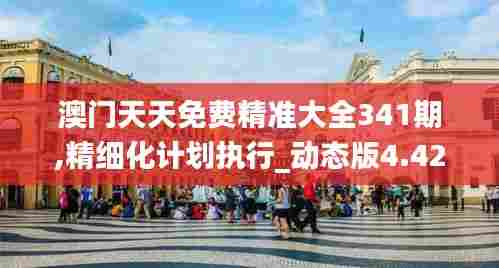 澳门天天免费精准大全341期,精细化计划执行_动态版4.422