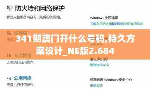 341期澳门开什么号码,持久方案设计_NE版2.684