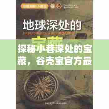 探秘小巷深处的宝藏,谷壳宝背后的故事与官方最新版下载
