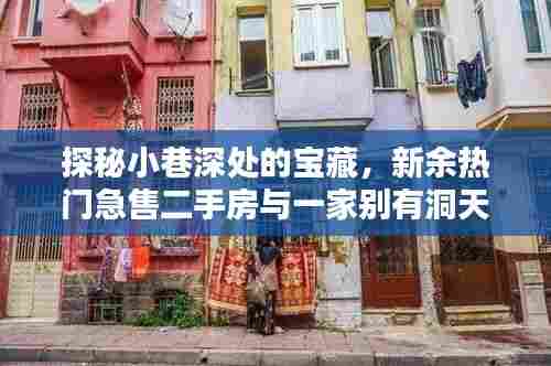 探秘小巷深处的宝藏,新余热门急售二手房与独特小店全攻略