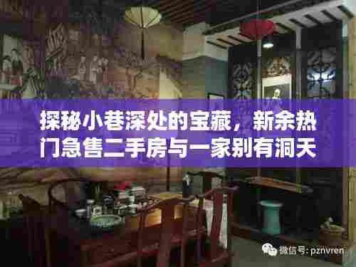 探秘小巷深处的宝藏,新余热门急售二手房与独特小店全攻略