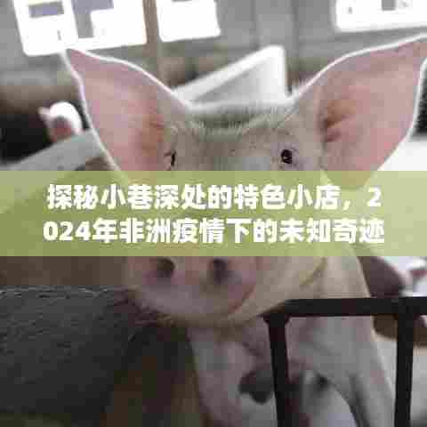 探秘小巷特色小店,非洲疫情下的未知奇迹之旅