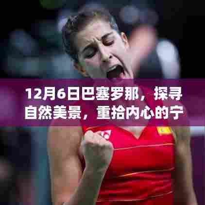 探寻自然美景,重拾内心宁静与平和——巴塞罗那之旅(12月6日)