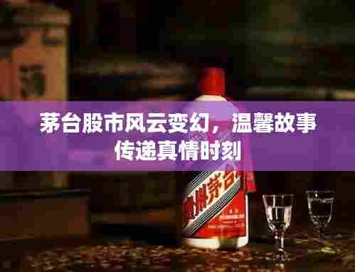 茅台股市风云与真情传递时刻