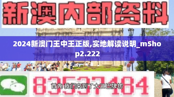 2024新澳门王中王正版,实地解读说明_mShop2.222