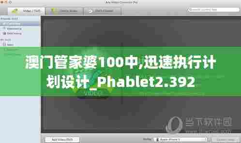 澳门管家婆100中,迅速执行计划设计_Phablet2.392