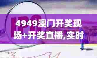 4949澳门开奖现场+开奖直播,实时解答解释定义_PT4.507
