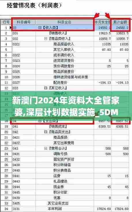 新澳门2024年资料大全管家婆,深层计划数据实施_5DM8.494