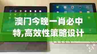 澳门今晚一肖必中特,高效性策略设计_iPad1.571