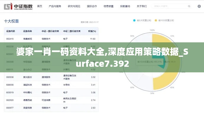 婆家一肖一码资料大全,深度应用策略数据_Surface7.392