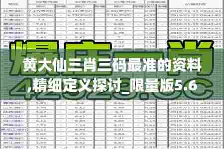 黄大仙三肖三码最准的资料,精细定义探讨_限量版5.621