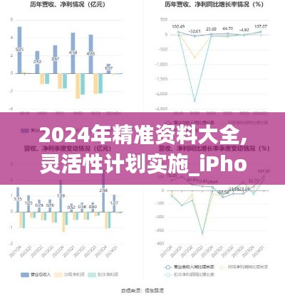 2024年精准资料大全,灵活性计划实施_iPhone6.898