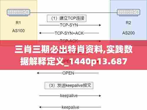三肖三期必出特肖资料,实践数据解释定义_1440p13.687