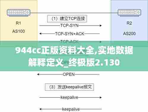 944cc正版资料大全,实地数据解释定义_终极版2.130