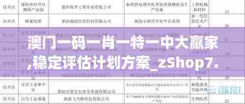澳门一码一肖一特一中大羸家,稳定评估计划方案_zShop7.411
