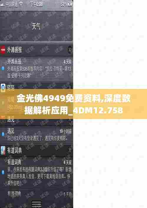 金光佛4949免费资料,深度数据解析应用_4DM12.758