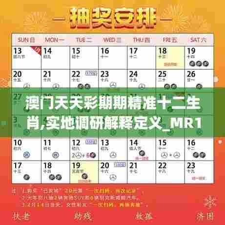澳门天天彩期期精准十二生肖,实地调研解释定义_MR10.497