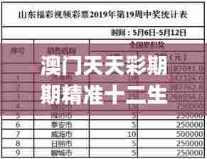 澳门天天彩期期精准十二生肖,实地调研解释定义_MR10.497