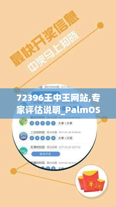 72396王中王网站,专家评估说明_PalmOS12.575