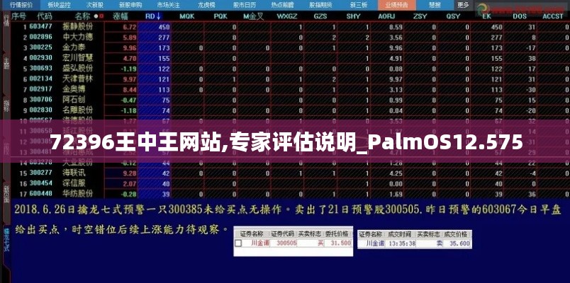 72396王中王网站,专家评估说明_PalmOS12.575